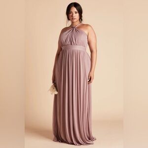 NWT Birdy Grey KIKO Dress in Mesh Mauve